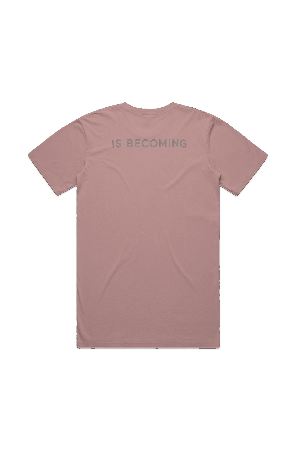 Beholding Is Becoming MENS STAPLE FADED TEE